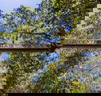 Bribie Island Bicentennial Trails - Accommodation NT