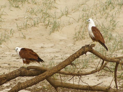 Broadwater National Park - Accommodation NT 2