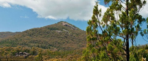 Burrowa-Pine Mountain National Park - Accommodation NT 0