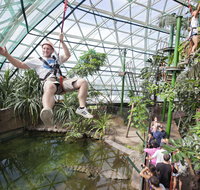 Cairns ZOOM and Wildlife Dome - Accommodation NT