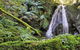Cascades Walking Track - thumb 0
