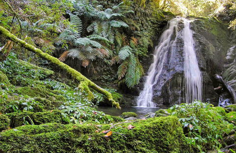 Cascades Walking Track - Accommodation NT 0