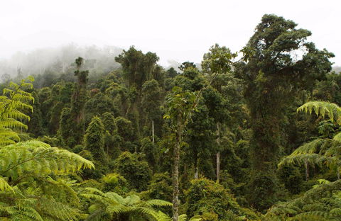 Cascade National Park - NT Tourism 0
