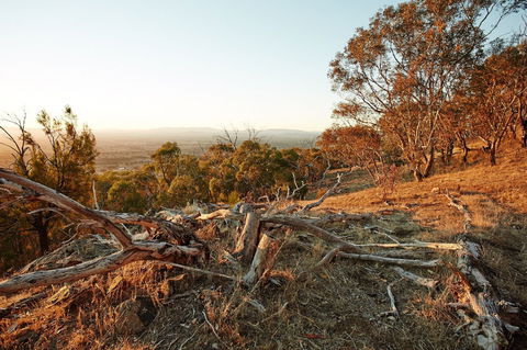 Chick Hill Walk - Accommodation NT 0