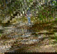 Cliff Face track - Accommodation NT