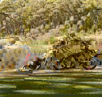 Creswick Regional Park - Accommodation NT