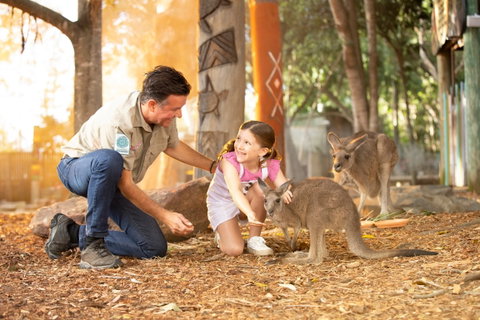 Dreamworld - Accommodation NT 2