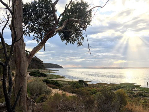 Fish Cannery Walking Trail - Accommodation NT 0