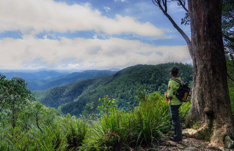 Gloucester Falls Walking Track - Accommodation NT 0