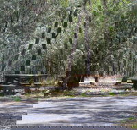 Goonoowigall State Conservation Area - Accommodation NT