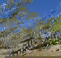 Green track - NT Tourism