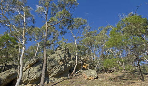 Green Track - NT Tourism 0
