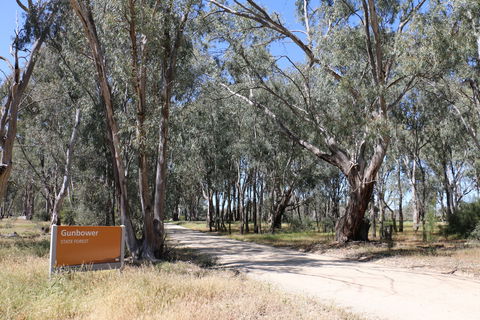 Gunbower Island Forest Drive - Accommodation NT 2