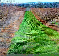 Hall Family Orchards - Accommodation NT