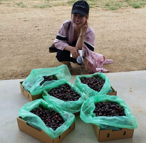 Hall Family Orchards - Accommodation NT 1