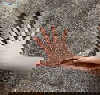 Hands of Fame Park - NT Tourism