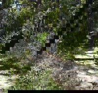 Karloo Walking Track - Accommodation NT