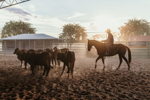 Katherine Outback Experience - Horse Riding Experience - Accommodation NT 2