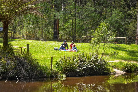Kurth Kiln Regional Park - Accommodation NT 1