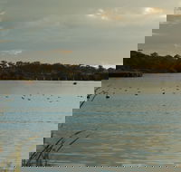 Lake Inverell Reserve - Accommodation NT