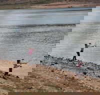 Lake Wyangala - Accommodation NT