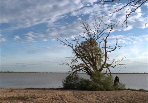 Lake Benanee - Accommodation NT 0