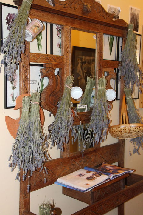 Lavender House In Railway Park - Accommodation NT 1