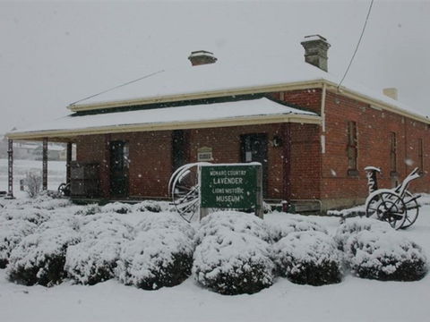 Lavender House In Railway Park - Accommodation NT 2