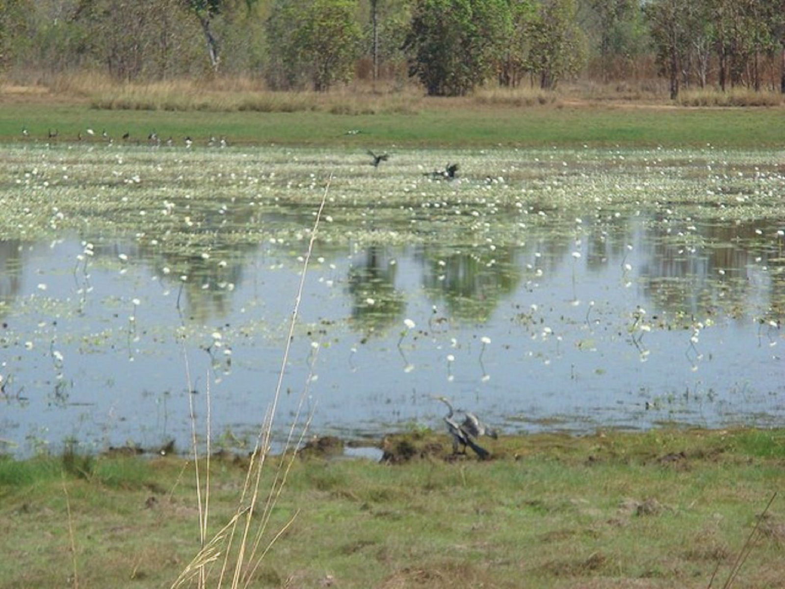  Accommodation NT