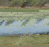 Leaning Tree Lagoon Nature Park - Accommodation NT