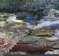 Liffey Falls Reserve - Accommodation NT