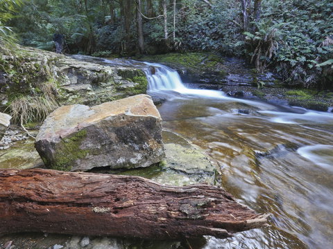 Liffey Falls Reserve - Accommodation NT 0