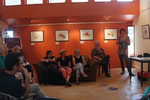 Magpie Springs Gallery - Accommodation NT 1