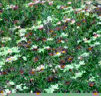 Milton - Accommodation NT