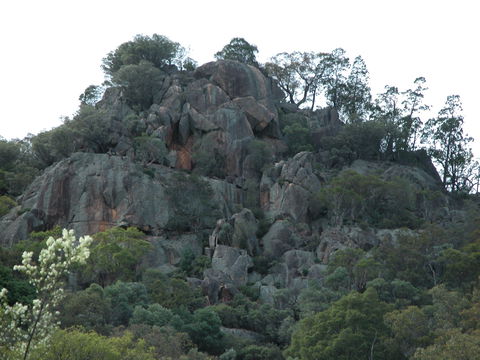 Mount Yarrowyck Nature Reserve - Accommodation NT 0
