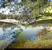 Murray Valley National Park - Accommodation NT