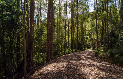 Myrtle Scrub Scenic Drive - Accommodation NT 0