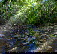 Nambucca Valley - NT Tourism