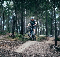 Nerang Mountain Bike Trails - NT Tourism