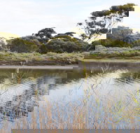 Onkaparinga River Recreation Park - Accommodation NT