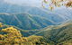 Point Lookout Walking Track - thumb 0