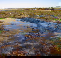 Point Danger Marine Sanctuary - Accommodation NT