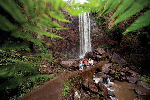 Queen Mary Falls Circuit, Main Range National Park - Accommodation NT 0