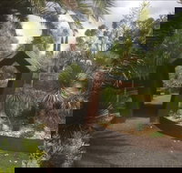 Roraima Nursery and Cafe - Accommodation NT