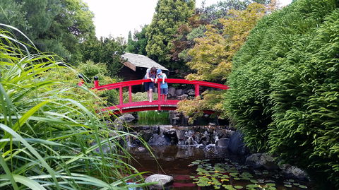 Royal Tasmanian Botanical Gardens - Accommodation NT 1