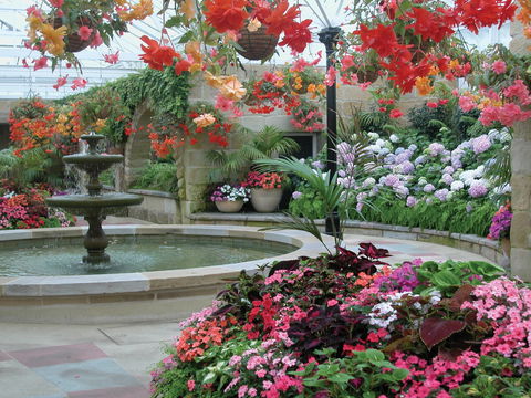 Royal Tasmanian Botanical Gardens - Accommodation NT 2