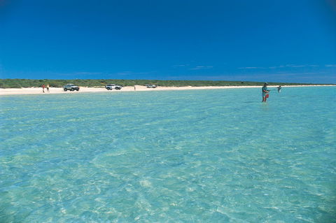 Shark Bay World Heritage Drive - Accommodation NT 1