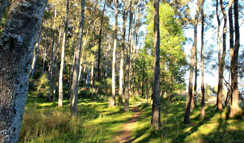Square Head Track 1 - Accommodation NT 0