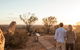 The Living Desert And Sculptures - thumb 1
