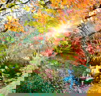 The Blue Mountains Botanic Garden Mount Tomah - Accommodation NT